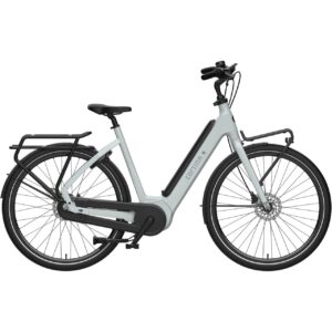 Cortina E-Common Int Family Sea Grass 7V Bosch Bes3 Elektrische Trasportfiets