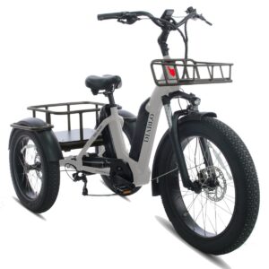 Diablo fatbikes Big Foot (Grijs)
