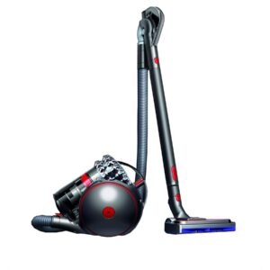 DYSON Cinetic Big Ball Absolute 2 Gris