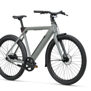 RALEIGH ON Elektrische fiets BELT (Salie Grijs)