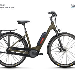 Victoria Cysalo 9 E Bike Uni warm antracite 545 Wh